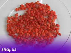 زرشک تازه ی دون شده 700 گرمی