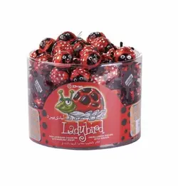 شکلات Lady Bird