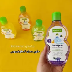 شامپو گیاهی سر و بدن بی بی لند