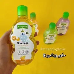 شامپو گیاهی سر و بدن بی بی لند