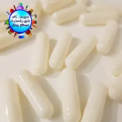 پوکه سفید-سفید ۵۰۰ بلند (۲۰۰۰ عدد) - فروشگاه اینترنتی شهر پلاستیک | فروشگاه سیتی پلاست | ظروف داریی | انواع قطره چکان | ظروف آرایشی | ظروف آزمایشگاهی | انواع شیشه | انواع پت