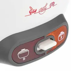 پلوپز - بخارپز مولینکس مدل Moulinex MK-156125