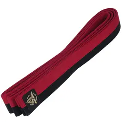 کمربند پوم TS