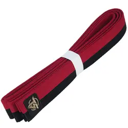 کمربند پوم TS