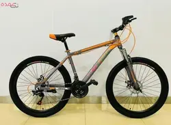 دوچرخه کوهستان فونیکس سایز 24
