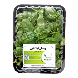 ریحان ایتالیایی