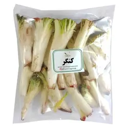 کنگر