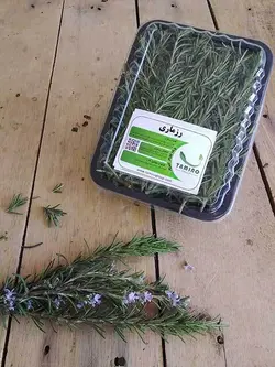 رزماری