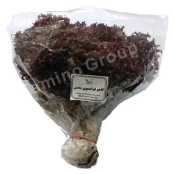 کاهو فرانسوی بنفش