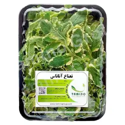 نعناع آناناس