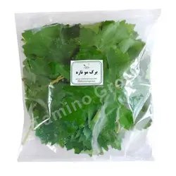 برگ مو تازه