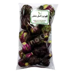 کلم بروکسل بنفش
