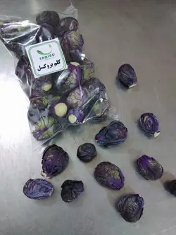 کلم بروکسل بنفش