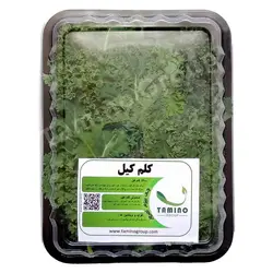 کلم کیل