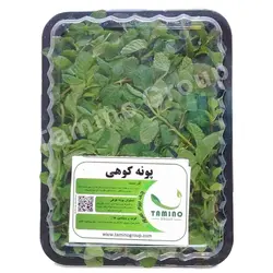 پونه کوهی