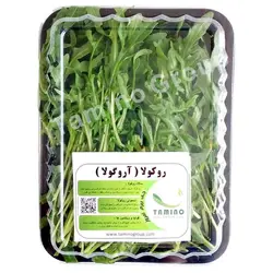 روکولا ( آروگولا )