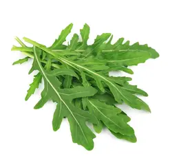 روکولا ( آروگولا )