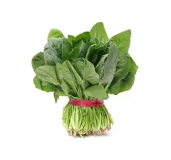 اسفناج