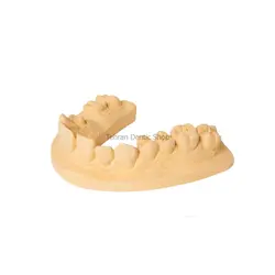 گچ ولمیکس Dentona Uni-Base 300 | فروشگاه آنلاین تهران دنتیک