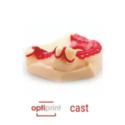 رزین قابل کست dentona