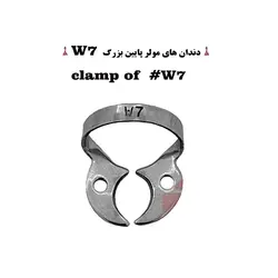کلمپ رابردم سری W برند کاریزما