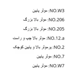 کلمپ تیتانیومی برند Charisma