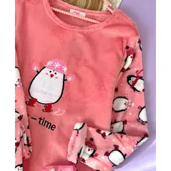 ست تدی پنگوئن