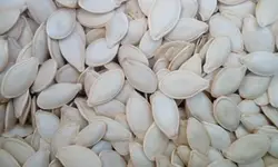 بذر تخمه کدو گوشتی آجیلی