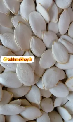 تخمه کدو مرمری خام