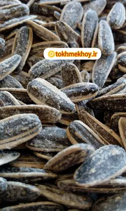 تخمه آفتابگردان کانادایی سایز دو