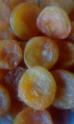 برگه زردآلو قیسی