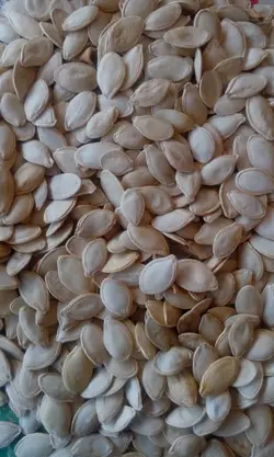 تخمه کدو گوشتی درجه سه