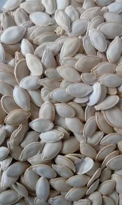 تخمه کدو گوشتی درجه دو