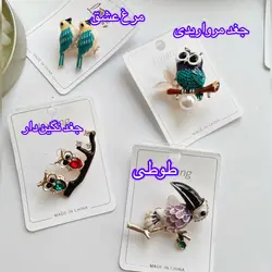 سنجاق سینه متنوع