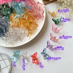مینی کلیپس پروانه شیشه ای