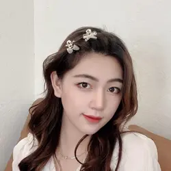 مینی کلیپس فلزی مجلسی