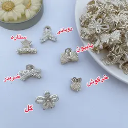 مینی کلیپس فلزی مجلسی