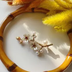 گل سینه شاخه گل