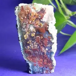 سنگ کلکسیونی شجر خاص