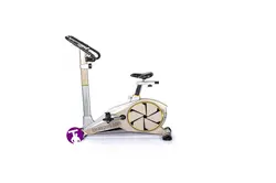 دوچرخه ثابت تایگر اسپرت مدل TIGER SPORT-G 100