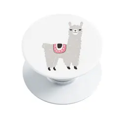 پاپ سوکت وینا مدل Llama