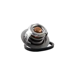 ترموستات 206 و L90 ( 76 درجه ) با اورینگ