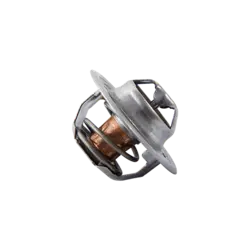 ترموستات پیکان (74 درجه)