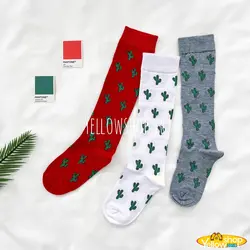 جوراب زیرزانو طرح کاکتوس