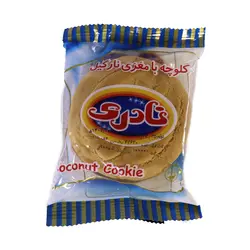 کلوچه نارگیلی نادری 100 گرمی