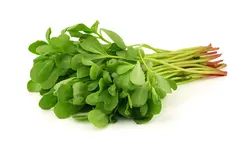 عرق خرفه یک لیتری