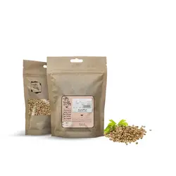 دانه تخم گشنیز