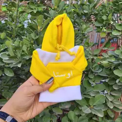 هودی سر دنده طرح اوستا کد 1047 | زینو اسپرت