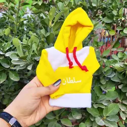 هودی سر دنده طرح سلطان کد 1052 | زینو اسپرت