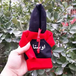 هودی سر دنده طرح اوستا کد 1066 | زینو اسپرت